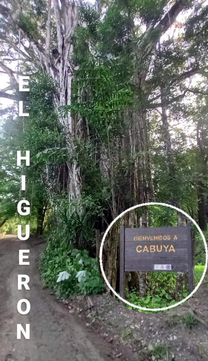 Luz De Estrella Studios Cabuya  외부 사진